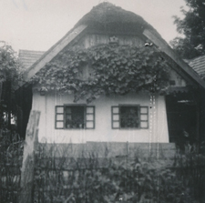 eika image